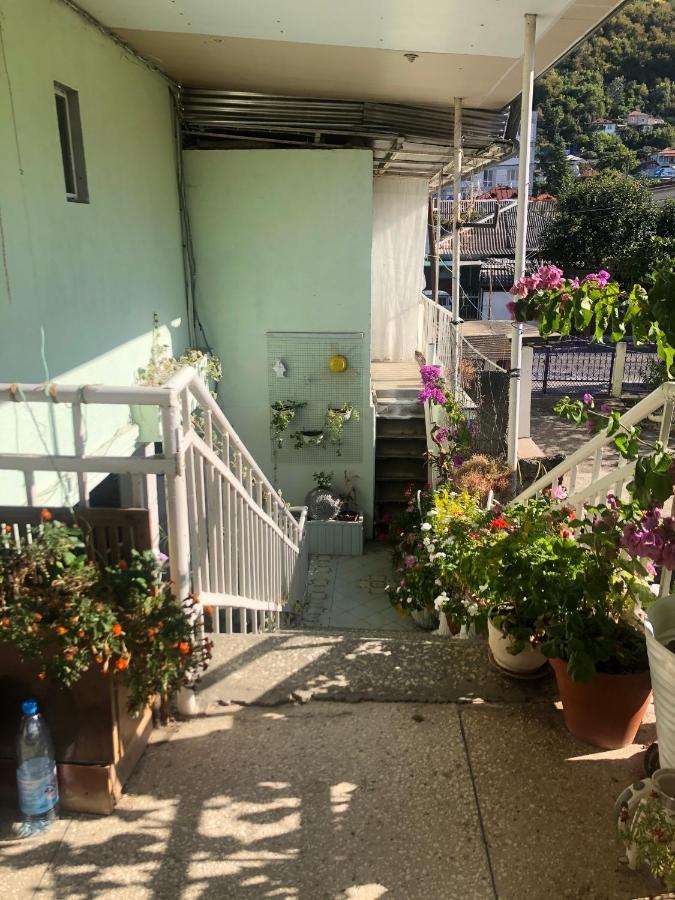 Зеленый Дворик Gagra Exterior photo
